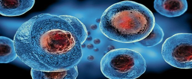 聚焦干细胞疗法！干细胞的潜力和挑战丨医麦猛爆料